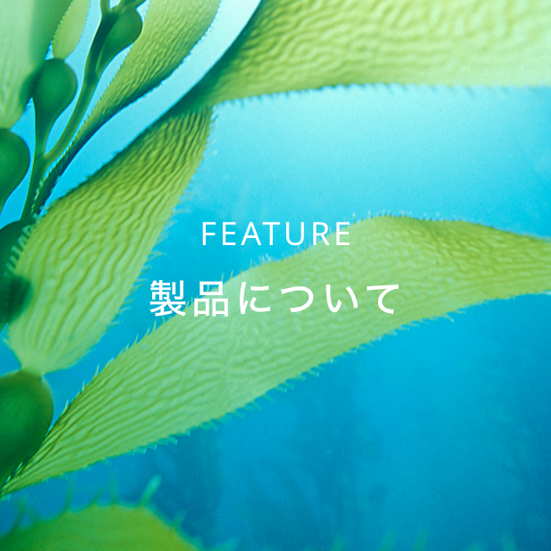 製品について