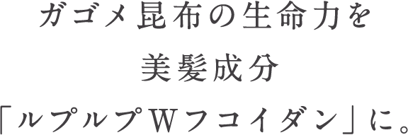 ガゴメ昆布の生命力を美髪成分「ルプルプWフコダイン」に。