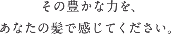 髪に満ちる新しいちから