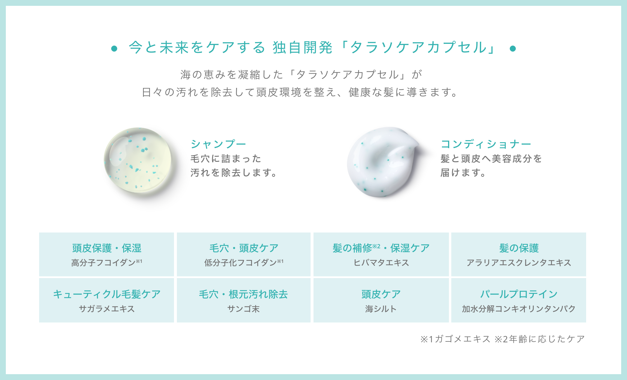 タラソカプセル
